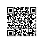 RT0201FRE0762KL QRCode