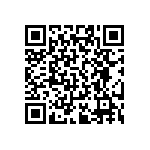 RT0402FRD0729R4L QRCode