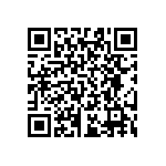 RT0603BRB07133RL QRCode