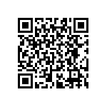 RT0603BRB073K24L QRCode