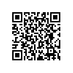 RT0603BRC0793K1L QRCode