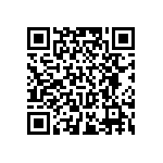 RT0805BRC0712KL QRCode