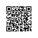 RT0805FRD07300KL QRCode