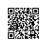 RT1206BRB07249RL QRCode