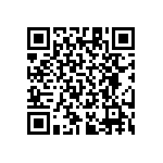 RT1206BRB07309RL QRCode