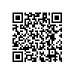 RT1206BRB0775KL QRCode