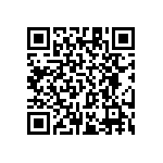 RT1206BRC0716K9L QRCode