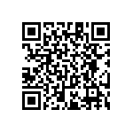 RT1206BRC071K24L QRCode