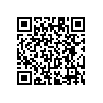 RT1206BRC0727R4L QRCode