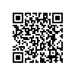 RT1206BRC0729R4L QRCode