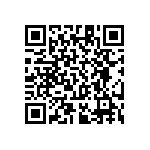 RT1206BRC07300KL QRCode