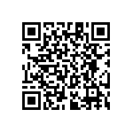 RT1206BRC07383RL QRCode