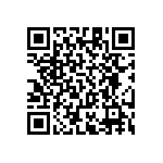 RT1206BRC07402KL QRCode