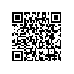 RT1206BRC07453RL QRCode