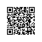 RT1206BRC0751RL QRCode