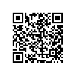 RT1206BRD07102KL QRCode