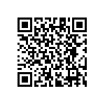 RT1206BRD07243KL QRCode