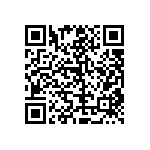 RT1206BRD0793R1L QRCode