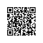 RT1206BRE07137RL QRCode