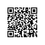 RT1206BRE07237KL QRCode