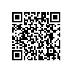 RT1206BRE0724K9L QRCode