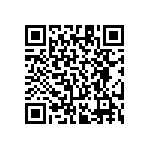 RT1206BRE0724R3L QRCode