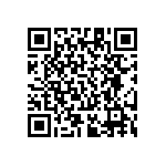 RT1206BRE07300KL QRCode