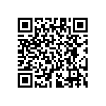 RT1206BRE07316KL QRCode