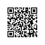 RT1206BRE0744K2L QRCode