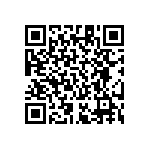 RT1206BRE07511KL QRCode