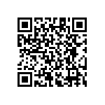 RT1206BRE07665RL QRCode