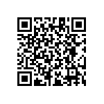 RT1206CRB07127RL QRCode