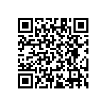 RT1206CRB0716R9L QRCode