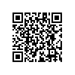 RT1206CRB07196RL QRCode