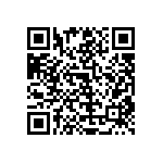 RT1206CRB071K13L QRCode