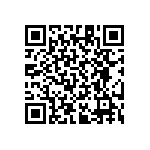 RT1206CRB07205RL QRCode