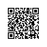 RT1206CRB07240KL QRCode