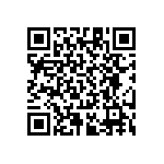 RT1206CRB07360KL QRCode