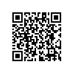 RT1206CRB07383RL QRCode