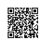 RT1206CRB0739K2L QRCode