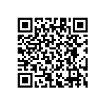 RT1206CRB07475KL QRCode