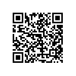 RT1206CRB074K87L QRCode