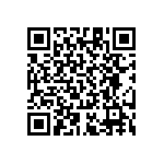 RT1206CRB07510KL QRCode