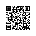 RT1206CRB075K6L QRCode