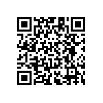 RT1206CRB0762RL QRCode