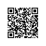 RT1206CRB078K25L QRCode