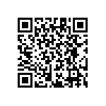 RT1206CRB079K31L QRCode