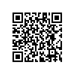 RT1206CRC0728K7L QRCode