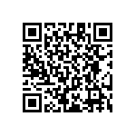 RT1206CRC07866RL QRCode