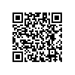 RT1206CRD0747KL QRCode